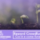 Reward Crowdfunding