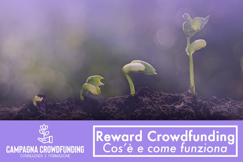 Reward Crowdfunding